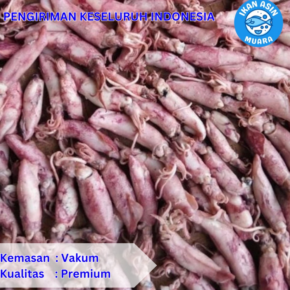 

S@le Cumi Asin Kemasan Vakum 250 Gram - 500 Gram - Ikan Asin Muara Sunshine