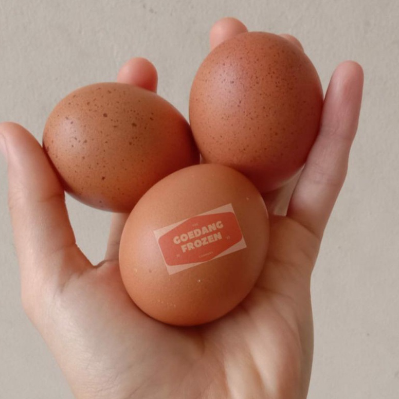 

TIPE TBL303 Telur Ayam Negeri 10 Butir