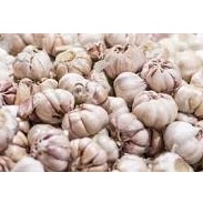 

KODE UCS949 BAWANG PUTIH LOKAL KUALITAS SUPER 1 KG