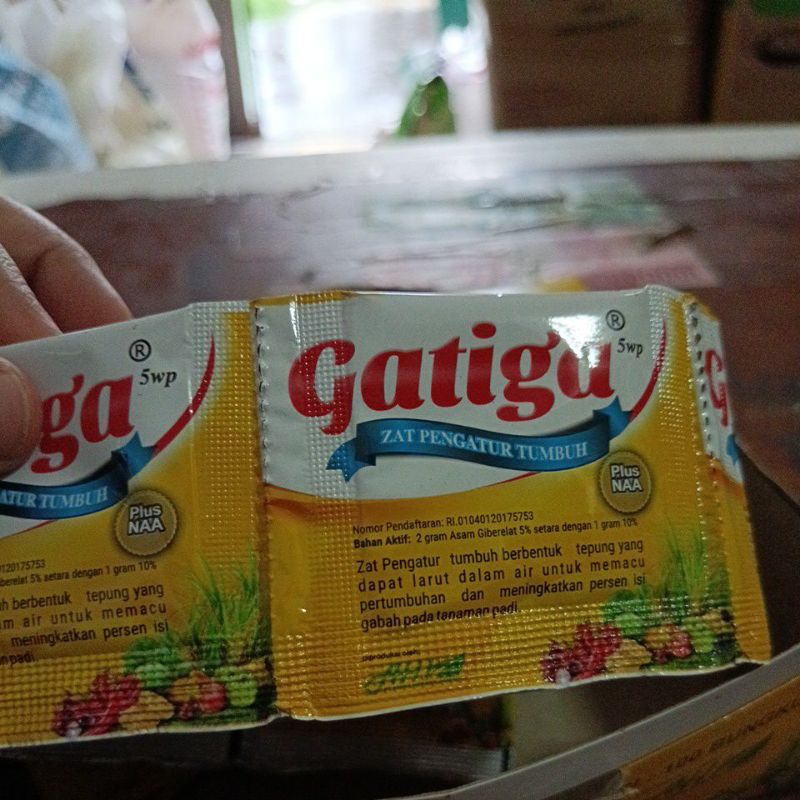 GATIGA