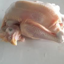 

AYAM KALASAN _ 1 EKOR