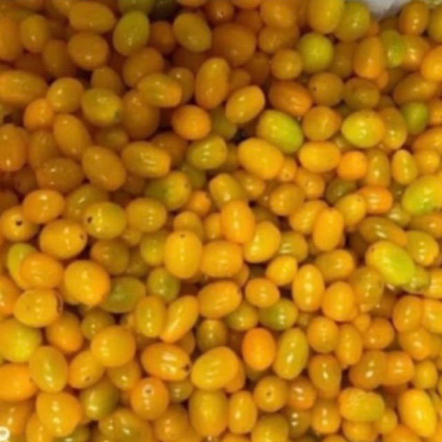 

tomat cery kuning 250gram Rp.20.000