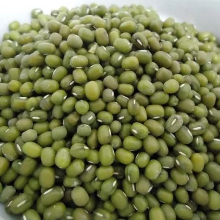 

I085 kacang ijo Australia - kacang ijo lokal bubur 1 kg kualitas super Harga Oo