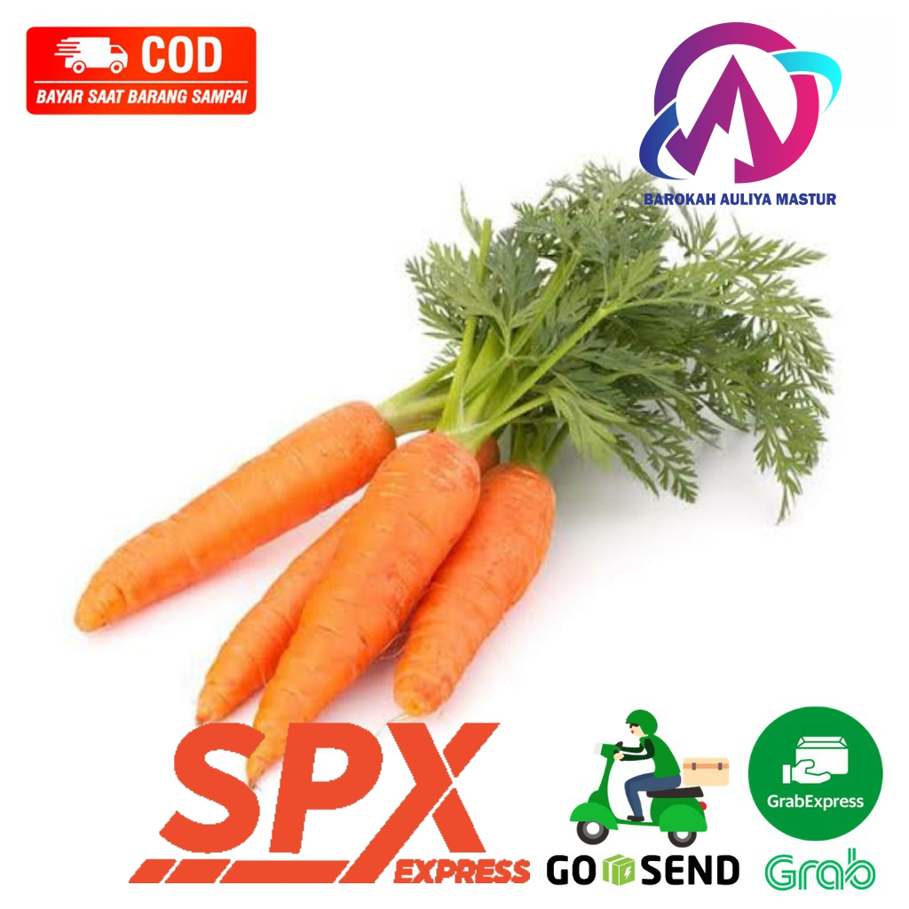 

WORTEL MINI Wortel Baby Kecil 500 Gram Sayuran Segar Fresh Kirim Instan BAM Pasar Online Padang