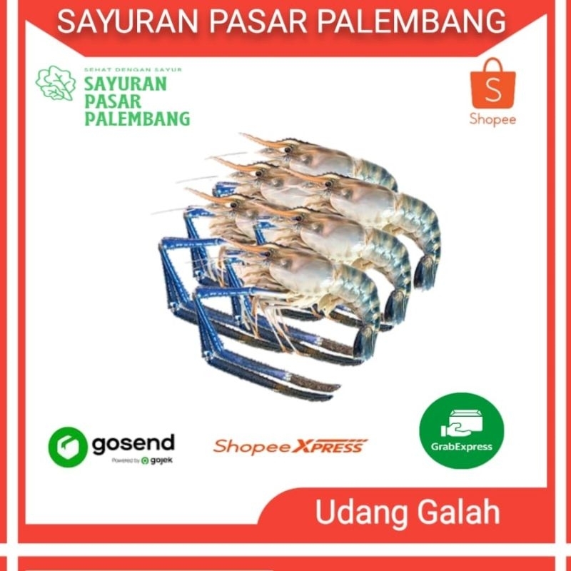 

Udang Galah Segar - Sayuran Pasar Palembang