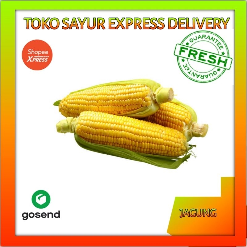 

Jagung manis - sayur express delivery palembang