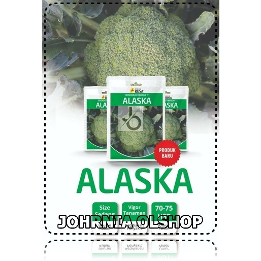 Johrnia 10 Benih Biji Brokoli ALASKA F1