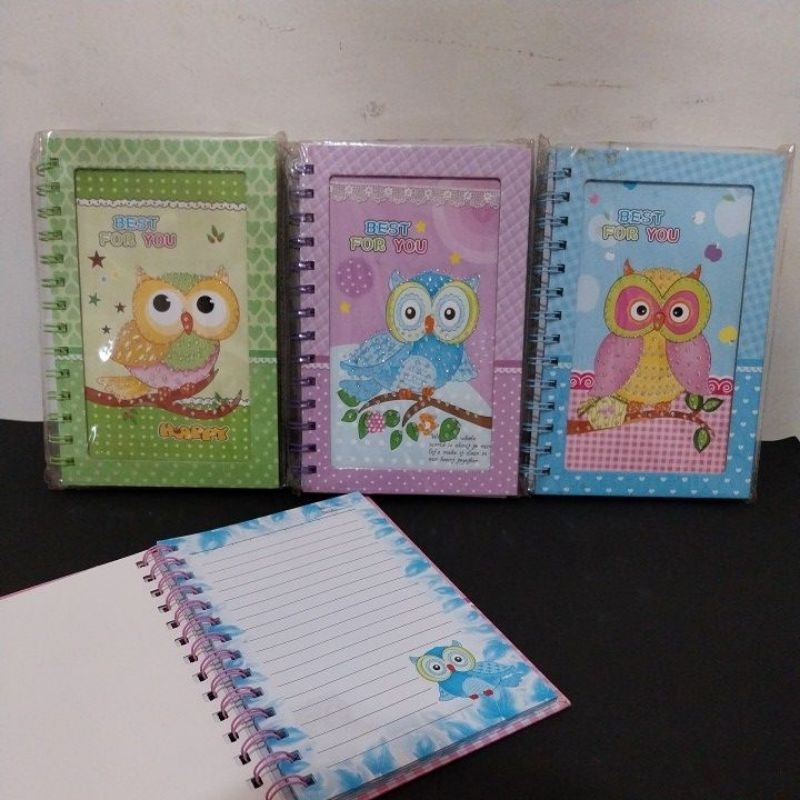 

(1 pcs) Diary Spiral A5 (A397 A396)