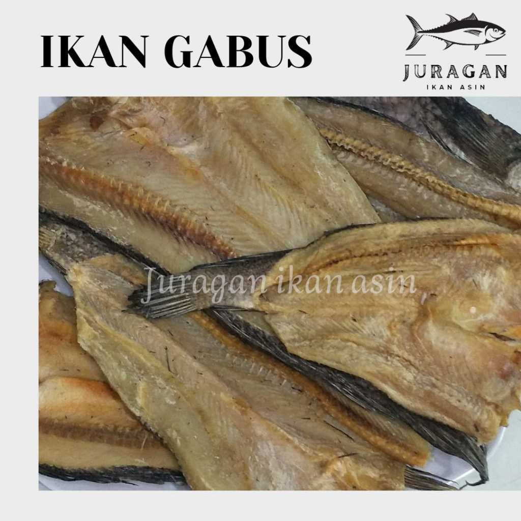 

IKAN ASIN GABUS KEMASAN 250GR BISA COD / TERSEDIA HARGA GROSIR