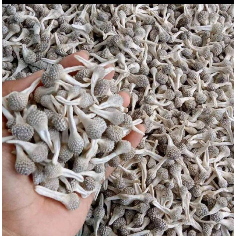 

mpot ayam kering 50gr