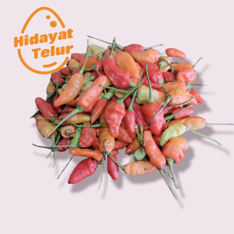 

CHYP7417 Ready Stok Cabe / Cabai Rawit Merah Segar / Kg