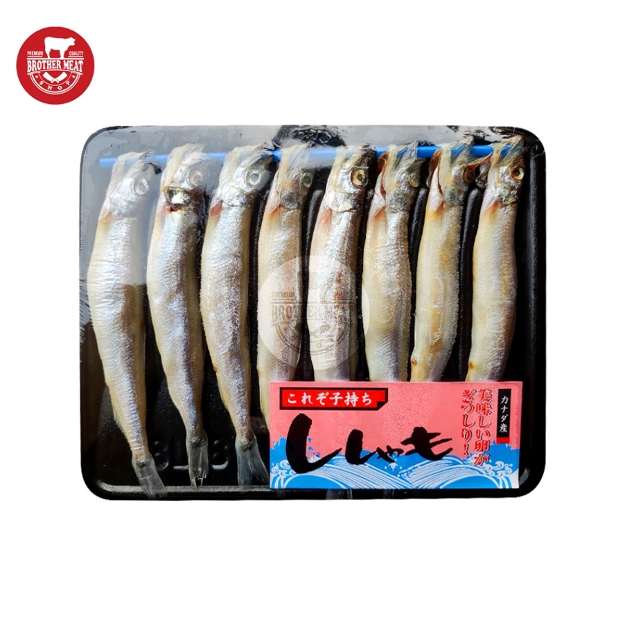 

XKCQ9921 Stok terbaru Shisamo Fish / Ikan Capelin 160-190gr