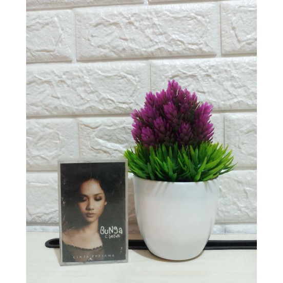 Order Kaset Bunga Citra Lestari Cinta Pertama