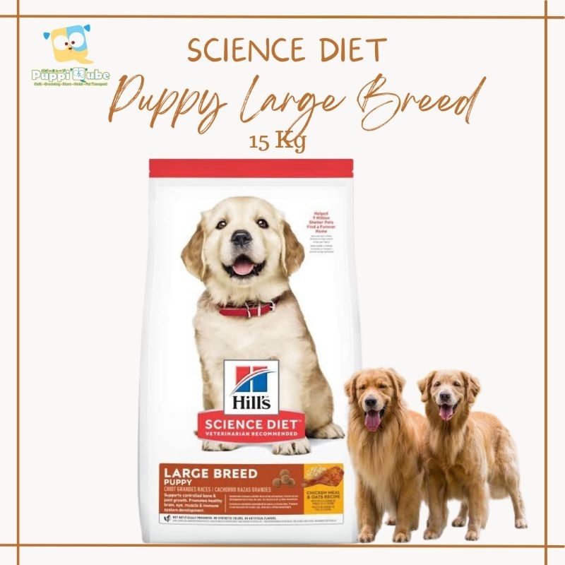 Science Diet Puppy Large Breed Chicken 15kg - puppy dogfood