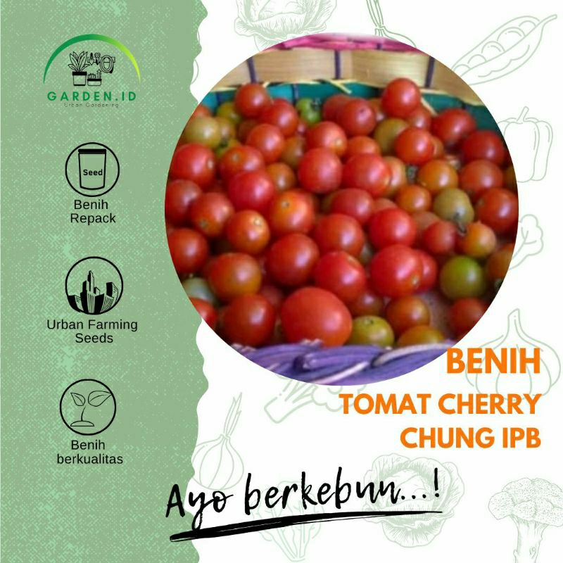 Biji - Benih Tomat Cherry Chung IPB