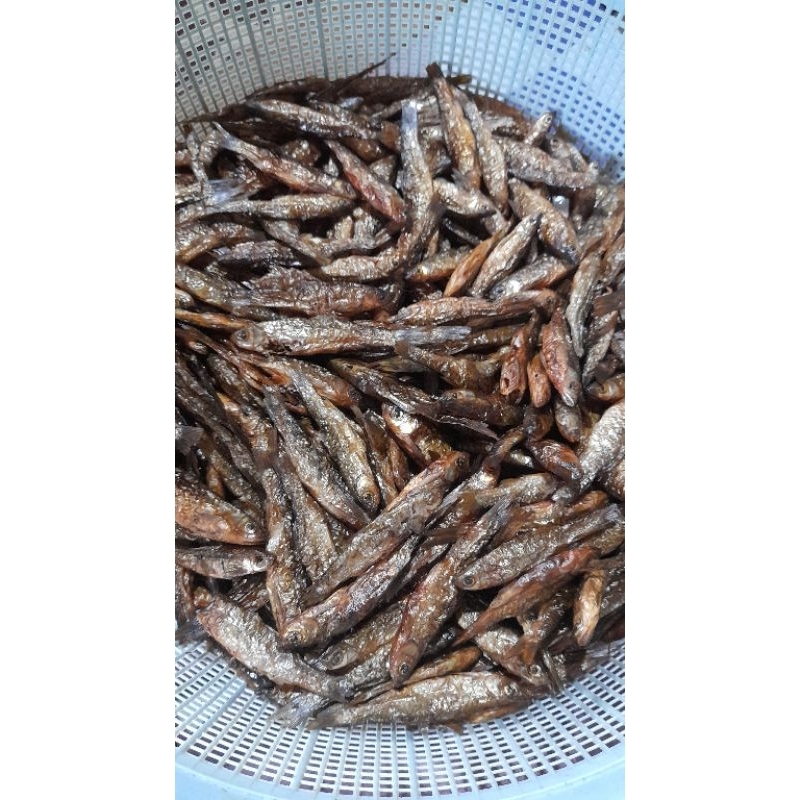 

IKAN BADA SALAI DANAUANINJAU SUMATRA BARAT ISI 500 GRAM