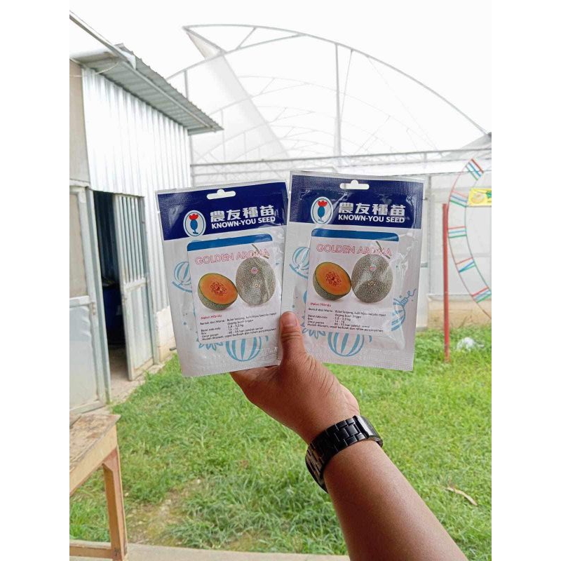 Benih Melon GOLDEN AROMA 100 biji - Known You melon  Hibrida