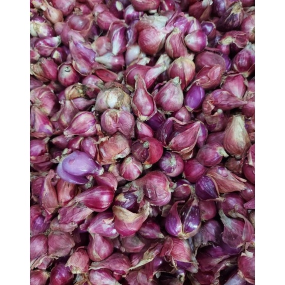 

D!skon BAWANG BREBES UKURAN SEDANG 1KG Baru Restok