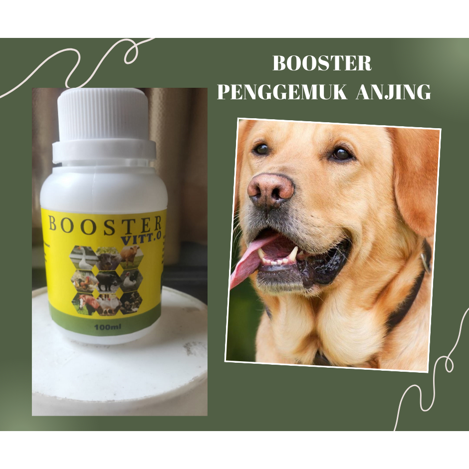 Vitamin nafsu makan anjing biar cepat besar dan gemuk gemuk Booster penggemuk anjing