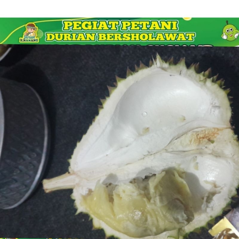 

Montong Semeru Khas Lumajang