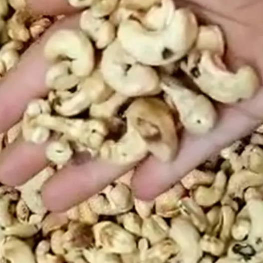 

Kacang Mede Mentah Mete Utuh Murah 1Kg ( SK3 berbintik 3 )