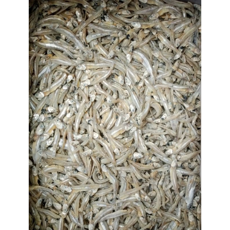 

Teri Asin Kering/Teri Bulet Fresh Kemasan ;1kg