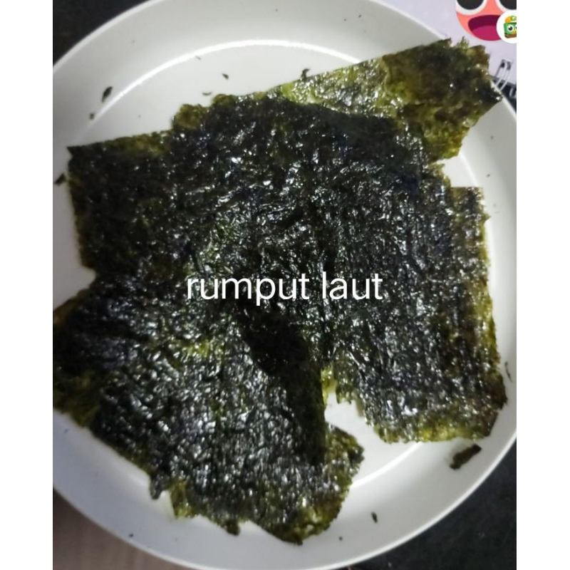 

rumput laut rijek nori