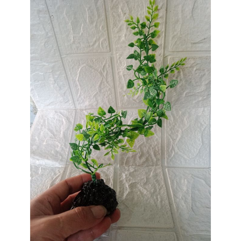 bonsai aquarium tanaman rambat plastik
