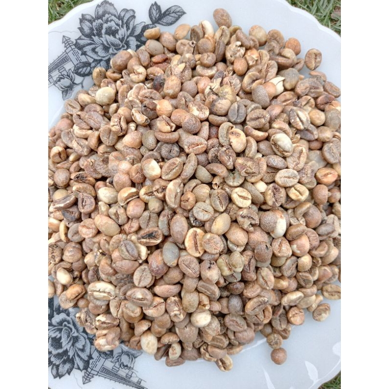 

green bean Coffee robusta ( biji kopi )