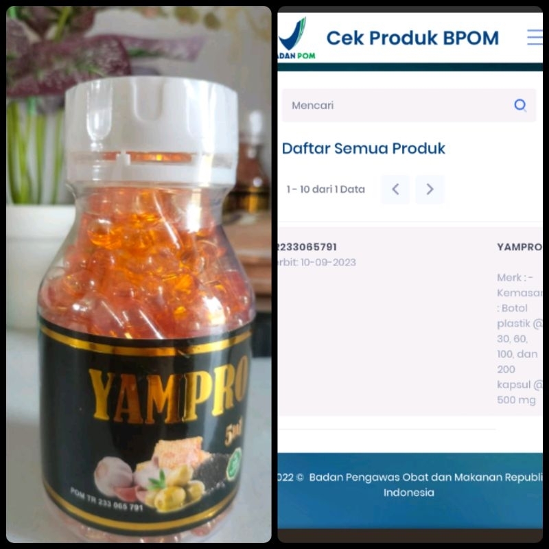 YAMPRO PROMIL BPOM ISI 100 suami istri