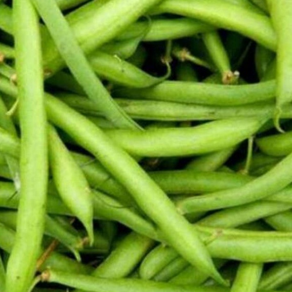 

FJCL3953 (V44859) Buncis 500 gr