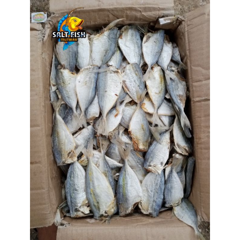 

Ikan Asin Peda Buntung Super Kemasan 1kg