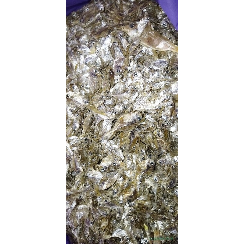 petek kering/ikan petek kecil/petek kering segar