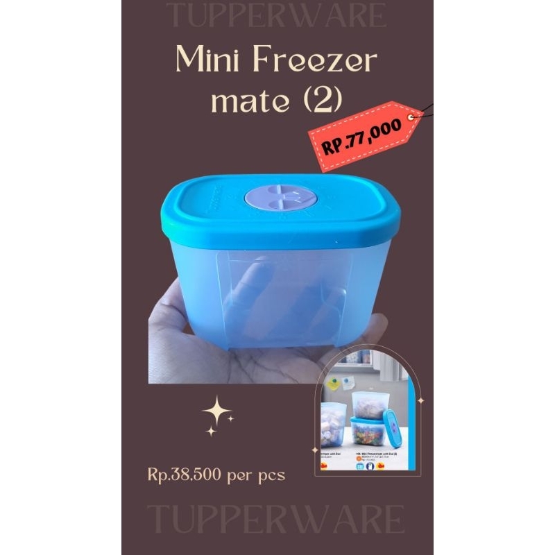 Mini Freezer Mate