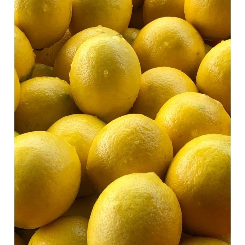 

Lemon California Super 1 Kg murah+fresh+banyak air+vibes lemon