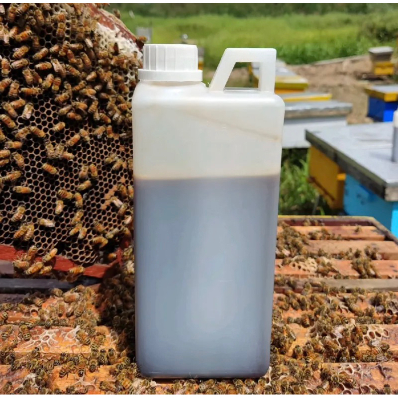 

Madu Hutan Akasia Sumatra 1 kg
