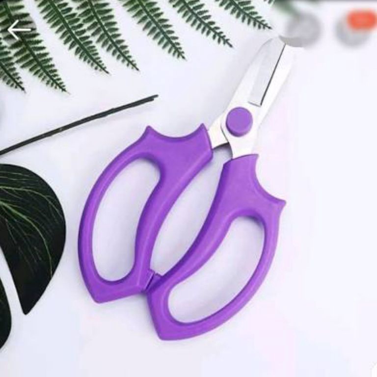 

33 Gunting Merk Ess Warna Blueberry Tajam Anti Karat 0yjno