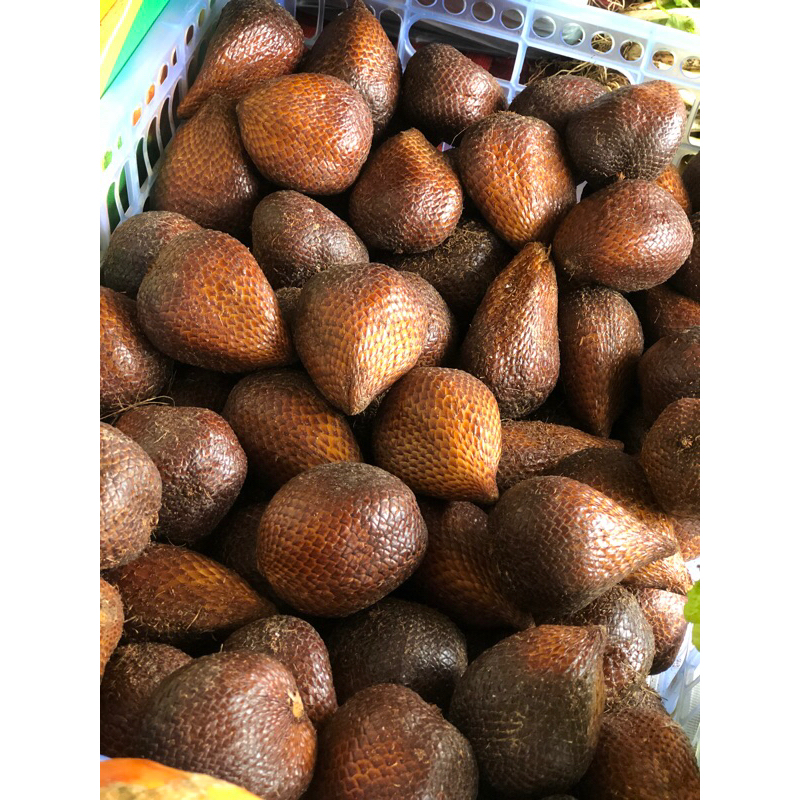 

Salak Pondoh Manis Grade A