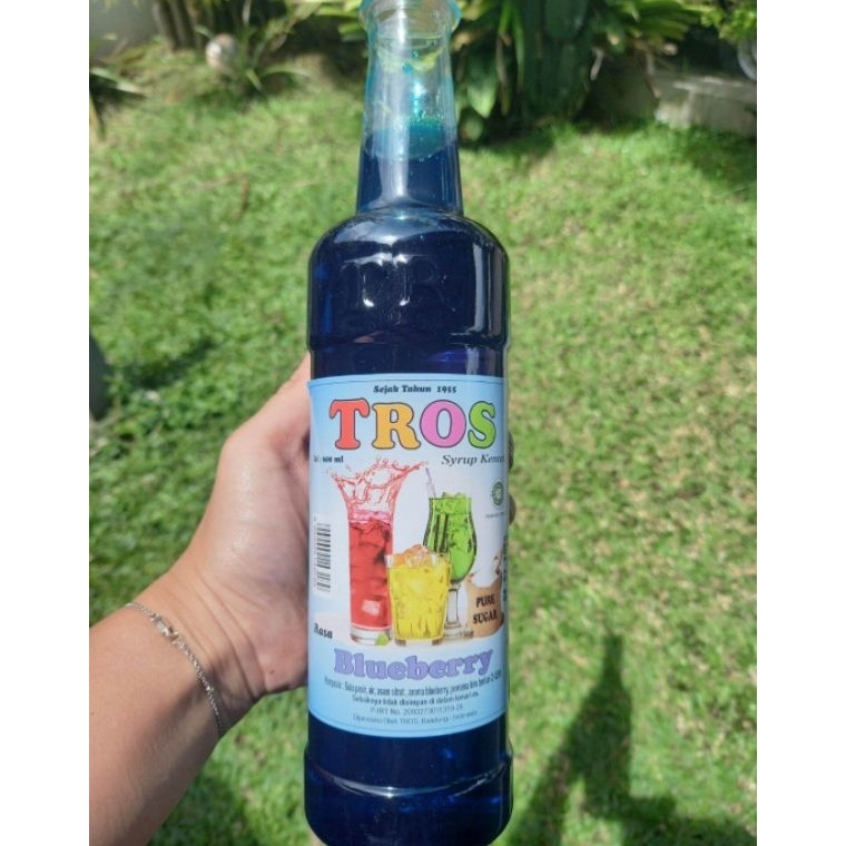 

[✾N61<] Sirup Tros Blueberry 600ml GOGO Beli