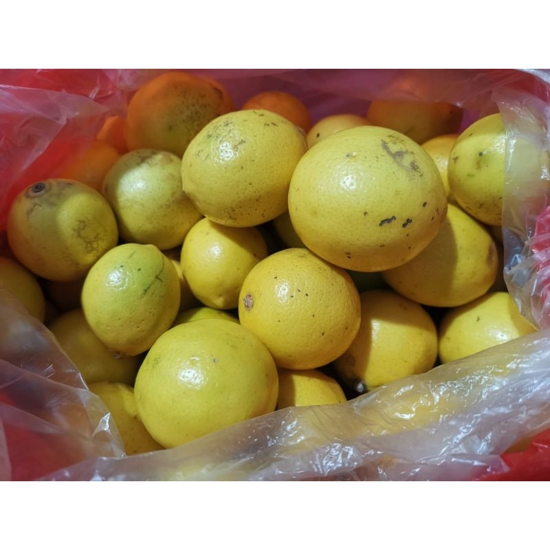 

Jeruk Lemon California Standar 1kg