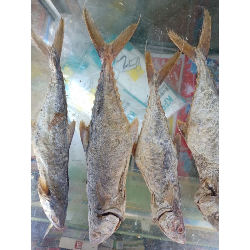 

Ikan Asin Tenggiri Beka Sedang khas Bagan 500gram
