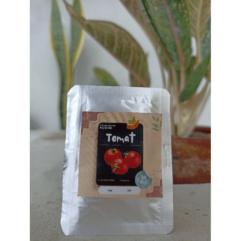Benih unggul repacked tomat buah/tomat besar servo cap panah merah