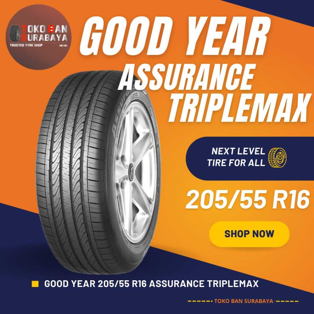 Ban Mobil Goodyear GY 205/55 R16 205/55R16 205/55/16 20555 R16 20555R16 R16 R 16 ASSURANCE TRIPLEMAX