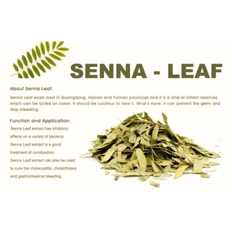 SENNA LEAF TEA Herbal Teh Daun Senna