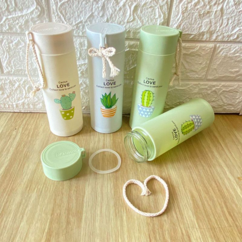 Botol kaca kaktus no box