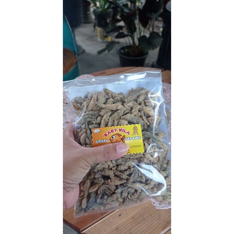 

KERIPIK IKAN WADER CRISPY