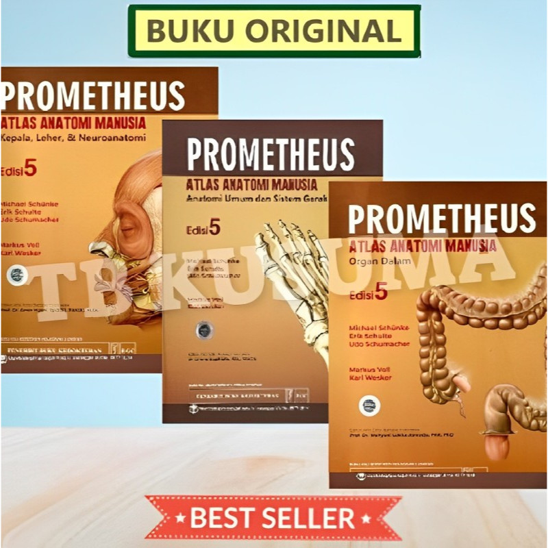 PROMETHEUS ATLAS ANATOMI MANUSIA EDISI 5 - PAKET 3 BUKU - ORIGINAL