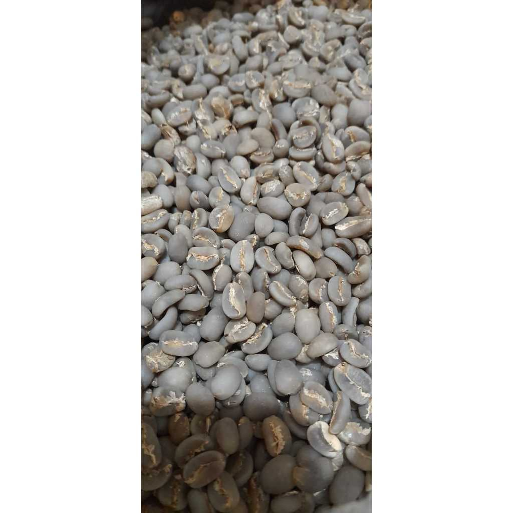 

Green Beans Arabica Sinjai Sulawesi Selatan 1Kg, Semi Washed - Grade Premium Petik Merah.