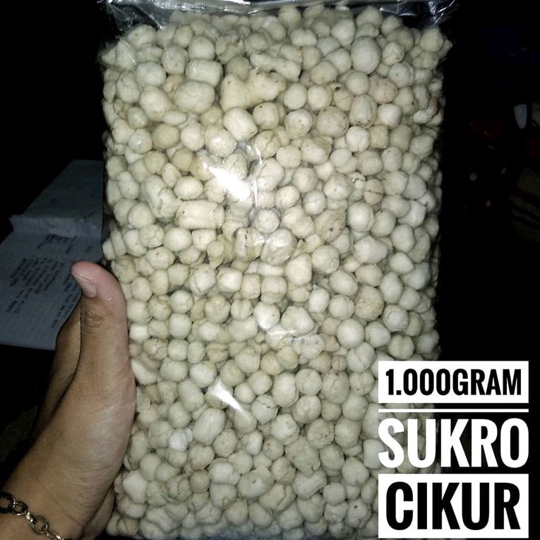 

[✡A54$] Pilus Cikur 1kg | Sukro Cikur Sari Murah Halal Higienis Harga pas