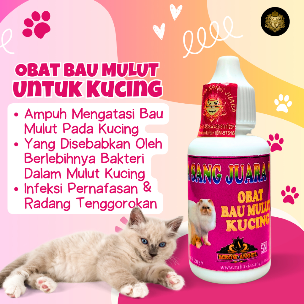 OBAT BAU MULUT KUCING AMPUH PENGHILANG BAU MULUT KUCING